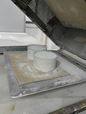 Γρήγορα θεραπεύοντας μελαμινών σχήματος σκονών SGS αντίστασης ψεκασμού πρώτης ύλης αλατισμένο