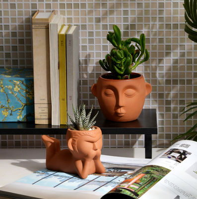 Μικρές κατσαρόλες εσωτερικών φυτών τερακότας Αντίσταση στα λεκέτα