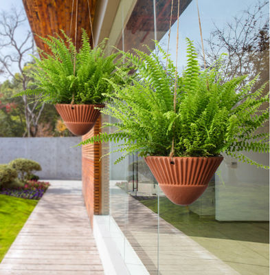 Κρεμαστικές φυτείες για εσωτερικά φυτά, Κρεμαστικές κατσαρόλες, Κρεμαστικό καλάθι, Κρεμαστικές φυτείες